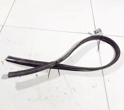 Renault Kangoo II Rubber seal front coupe door 