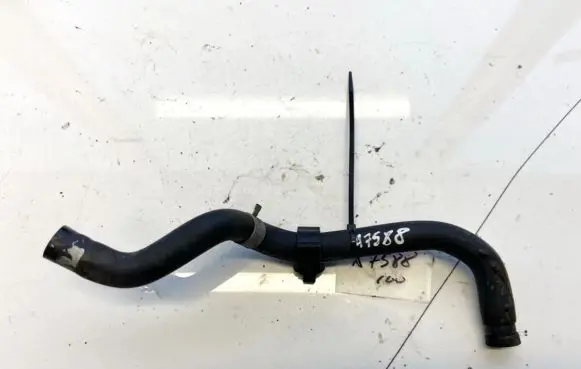 Nissan Almera Tino Engine coolant pipe/hose