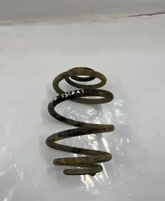 Rear coil spring