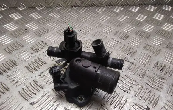Thermostat/thermostat housing