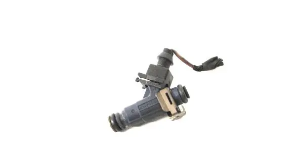 Porsche Cayenne (9PA) Fuel injector 0280156101