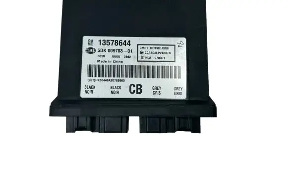 Opel Ampera Keyless (KESSY) go control unit/module 13578644 5DK00970301