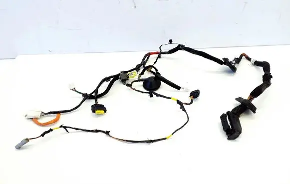 Hyundai Santa Fe Front door wiring loom 91605S1400 95930S1000