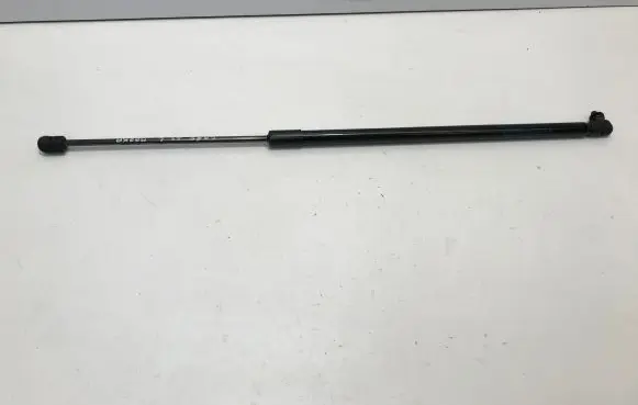 Front bonnet/hood damper/strut