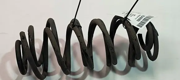 Rear coil spring