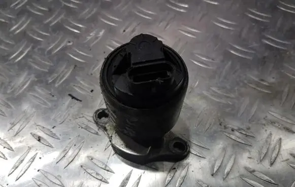 Opel Astra F EGR valve nenustatytta