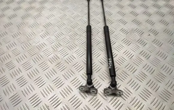 Renault Captur Tailgate/trunk strut/damper 844301324R