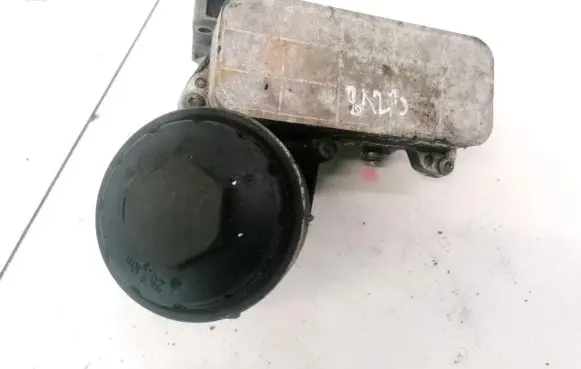 Volkswagen Touareg I Oil filter cover 070115389B