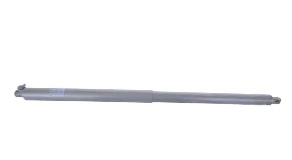 Tesla Model S Tailgate/trunk strut/damper 600661100B