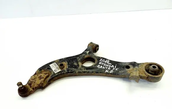 Front lower control arm/wishbone