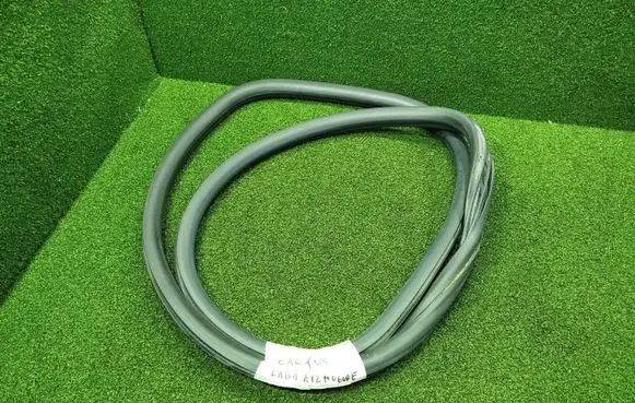 Citroen C4 Cactus Rear door rubber seal (on body) 
