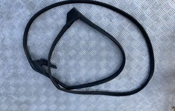 Toyota Prius (XW50) Rubber seal rear door PK12813