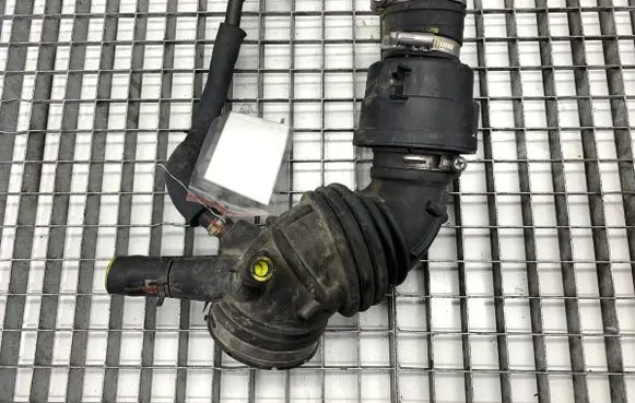 Hyundai Tucson TL Air intake hose/pipe 28191D3501