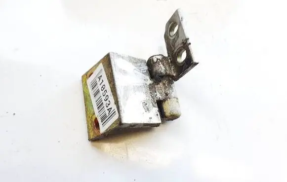 Rear door lower hinge