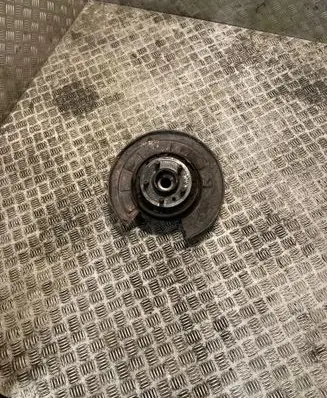 Land Rover Range Rover Sport L320 Rear wheel hub RLH500020 LR045822
