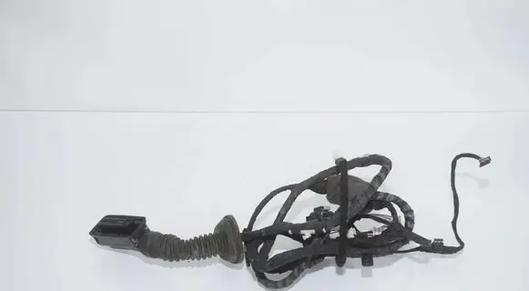 BMW 5 G30 G31 G38 Rear door wiring loom 5A085E8 61125A085E8