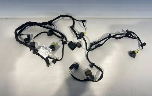 Volkswagen Touareg III Parking sensor (PDC) wiring loom 760971095ED