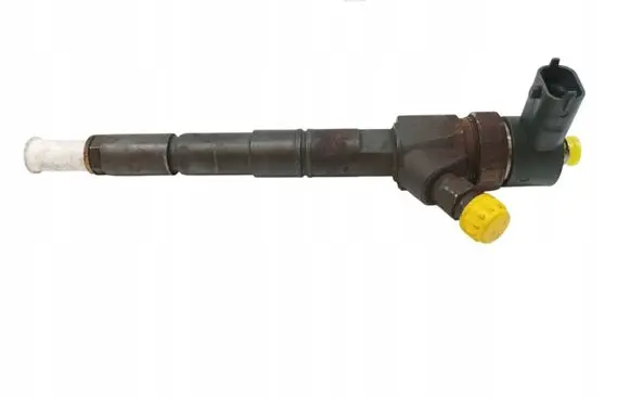 Opel Signum Fuel injector 0445110243