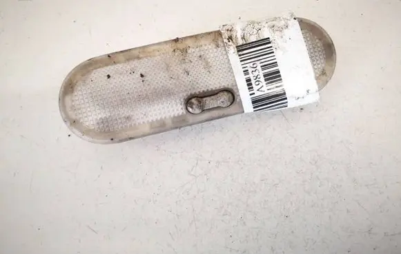 Renault Kangoo II Front seat light