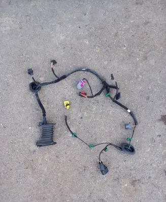 Front door wiring loom