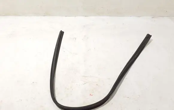 Dacia Logan II Front door rubber seal 808321804R