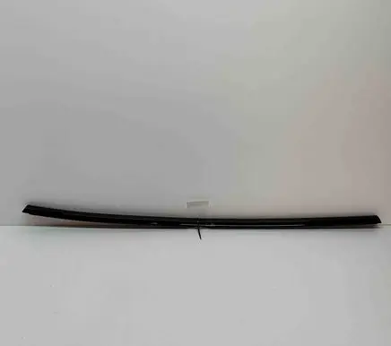 Audi E-tron GT Rear door glass trim molding 4J3839476A