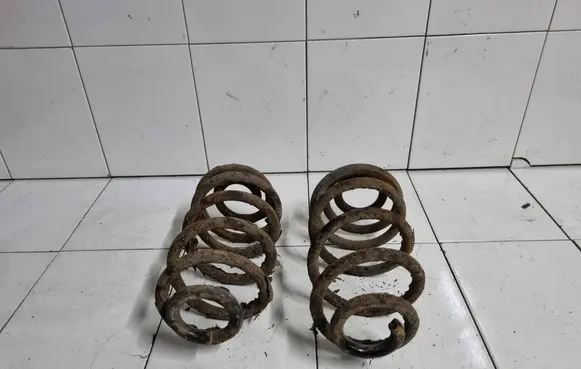 Opel Insignia A Rear coil spring