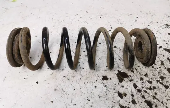 Volkswagen PASSAT B6 Rear coil spring