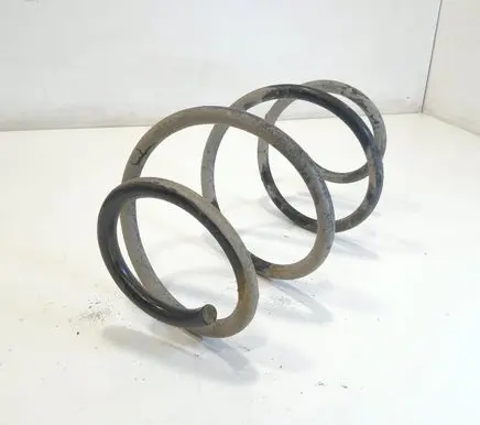 Rear coil spring