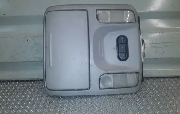 Chrysler Pacifica Front seat light 05096156AA