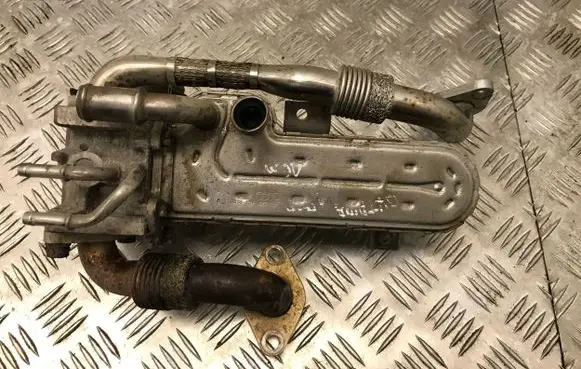Skoda Octavia Mk2 (1Z) EGR valve cooler 038131513AD
