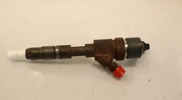 Renault Scenic II - Grand scenic II Fuel injector 0445110110