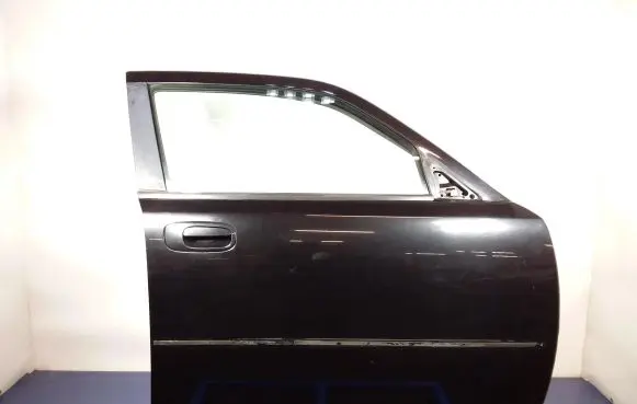 Dodge Charger Front door