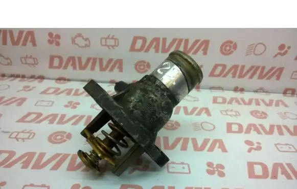 Thermostat/thermostat housing