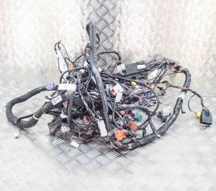 Tesla Model S Other wiring loom 302664300A