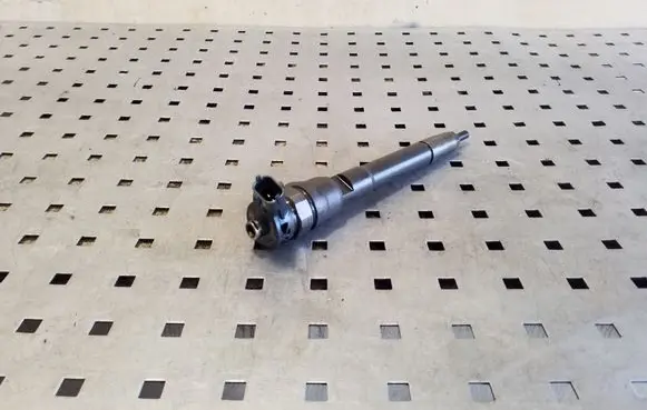 Nissan Qashqai Fuel injector H8201055367 0445110414
