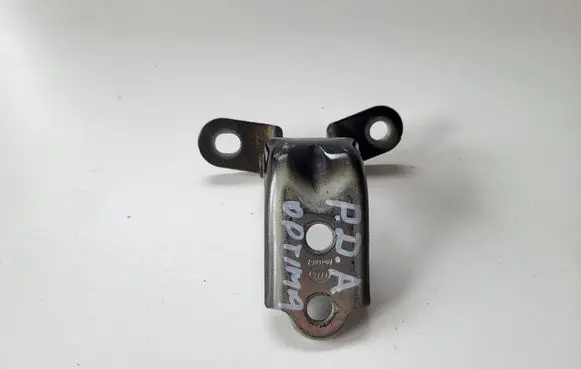 KIA Optima Front door lower hinge 