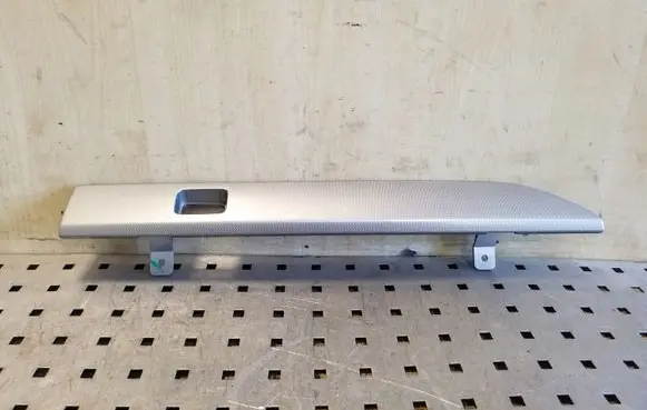 Opel Antara Panel trim 20880541