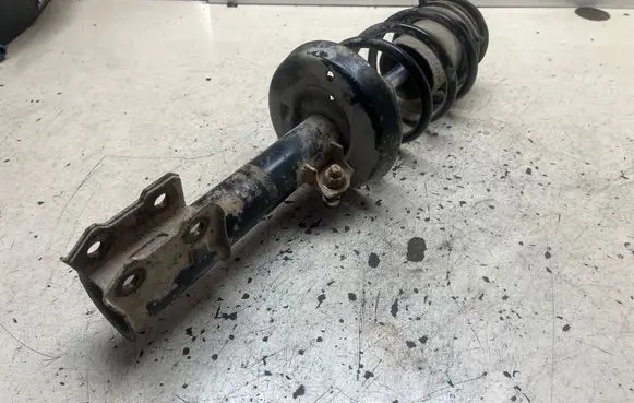 Opel Zafira A Front shock absorber with coil spring DSB040G