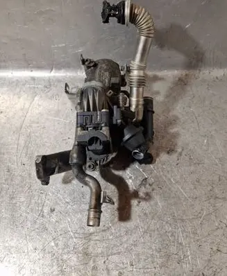 Peugeot 2008 I EGR valve 50563908 2277907587
