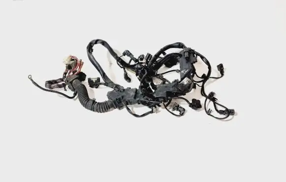 Engine installation wiring loom