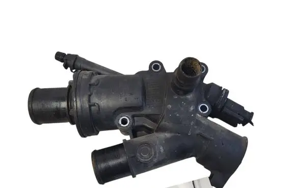 Thermostat/thermostat housing