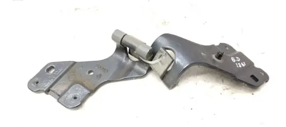 Tailgate/trunk/boot hinge