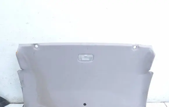 Peugeot 307 CC Headlining 10560830200AS0