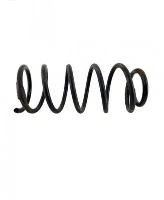 Rear coil spring
