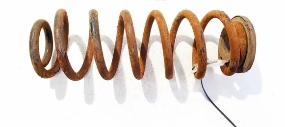 Volkswagen PASSAT B6 Rear coil spring