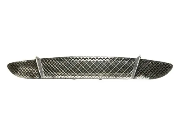 BMW 1 E81 E87 Front bumper lower grill 7131690 51117131690 22944911
