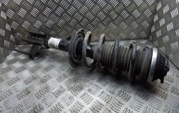 Opel Zafira B Front shock absorber with coil spring 313478 111500313478 824903008264