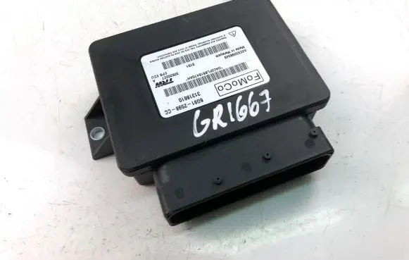 Volvo V70 Other control units/modules 31318610