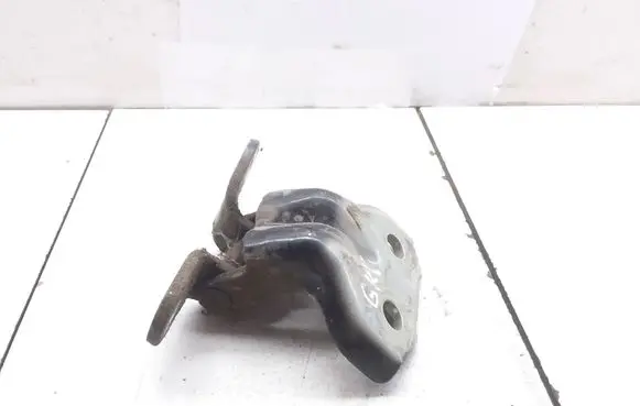 KIA Sorento Rear door lower hinge 